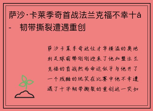 萨沙·卡莱季奇首战法兰克福不幸十字韧带撕裂遭遇重创